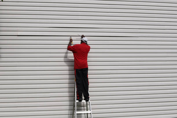 Best Insulated Siding Installation  in Lifornia City, CA